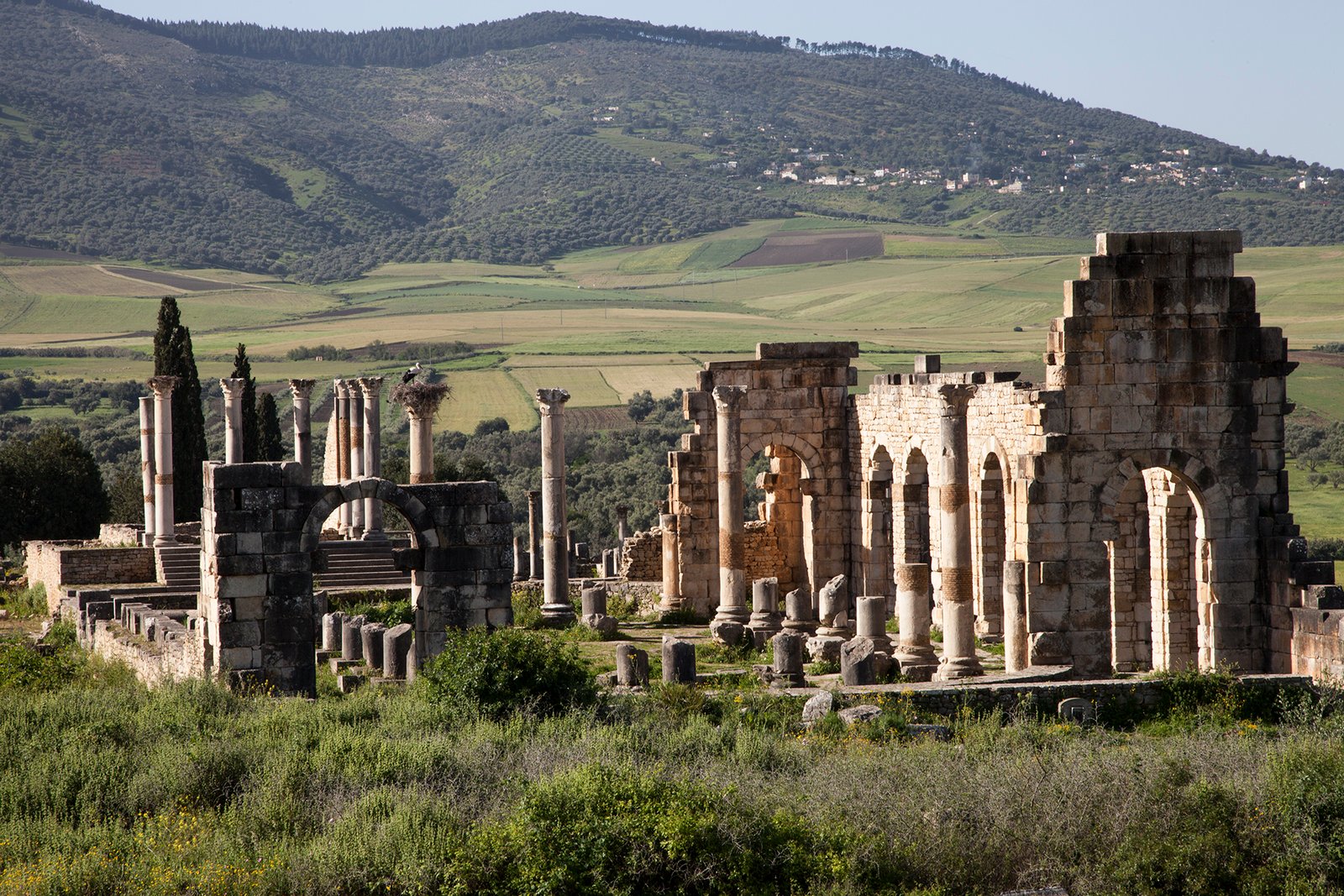 Ancient Wonders: Day Trip from Fes to Volubilis & Meknes